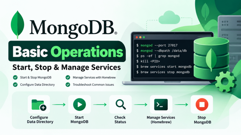 MongoDB basic operations workflow showing how to start, stop, and manage MongoDB services, configure the data directory, check server status, and manage services using Homebrew.