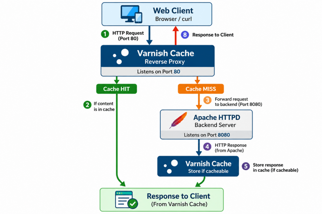 Varnish Cache and Apache architecture diagram showing how HTTP requests flow from a web client to Varnish on port 80 and then to Apache on port 8080 on a cache miss. Varnish stores cacheable responses and returns cached or backend responses to the client.